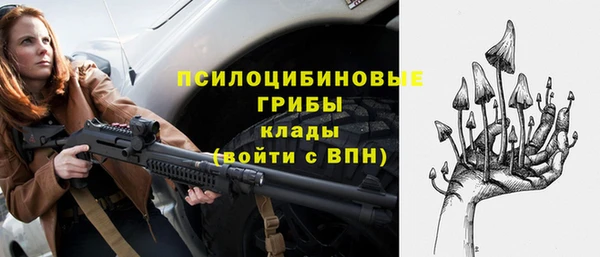 дживик Баксан