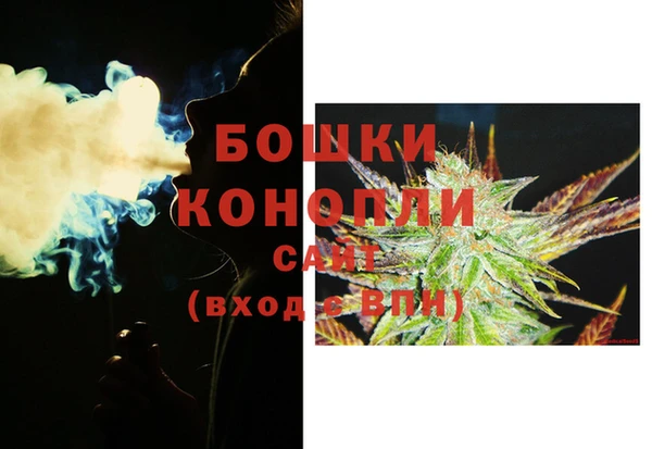 дживик Баксан