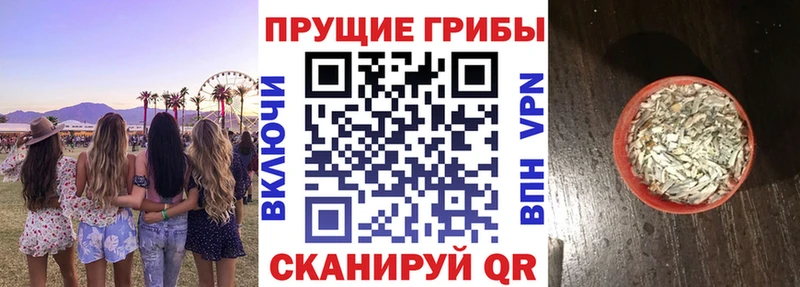 закладка  kraken вход  нарко площадка как зайти  Городовиковск  Псилоцибиновые грибы мухоморы 